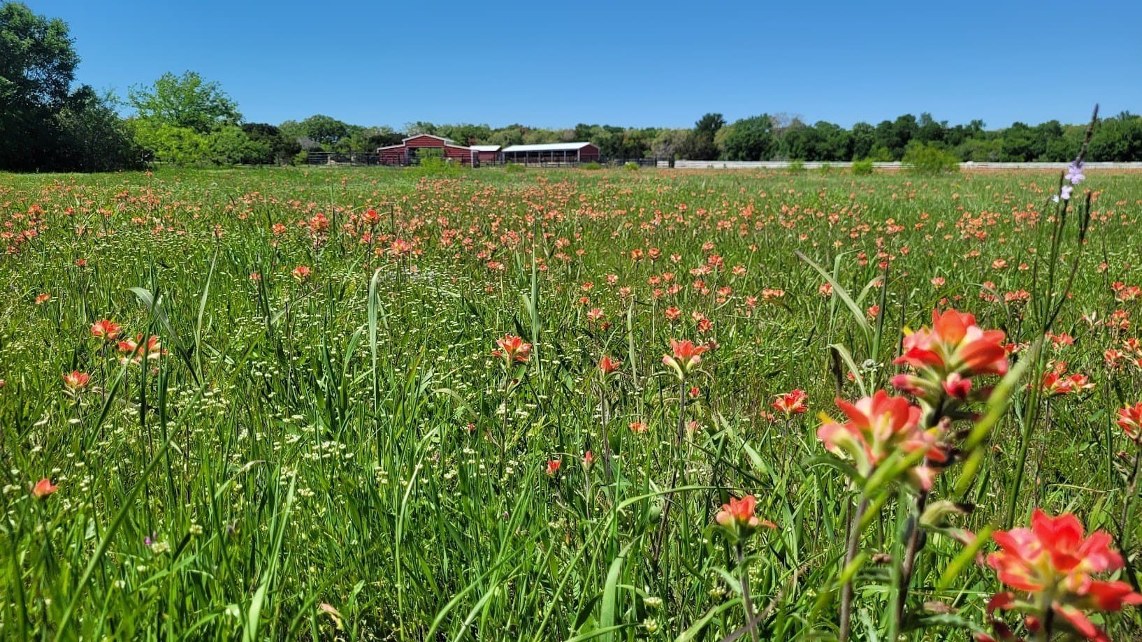 40.31 acres in McLennan County - photo 31