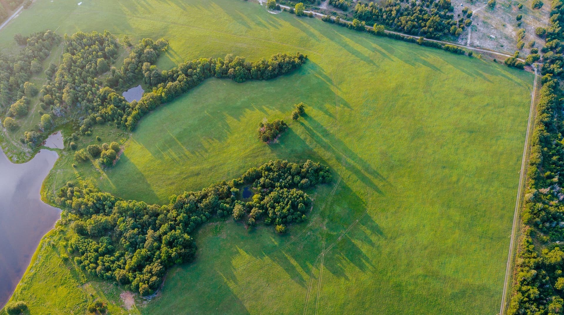 128.53 acres in Wood County - photo 13