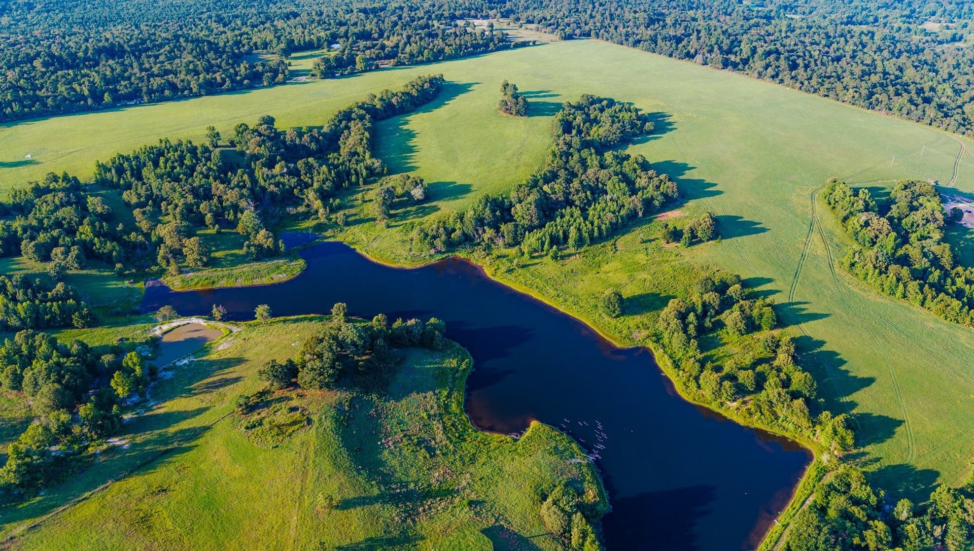 128.53 acres in Wood County - photo 5