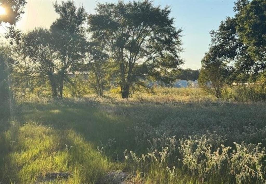 7.5 acres in Henderson County gallery image 2