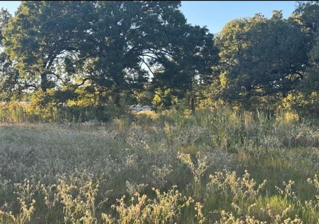 7.5 acres in Henderson County