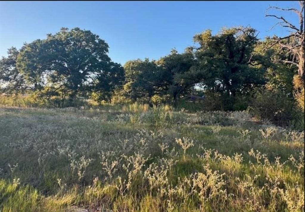 7.5 acres in Henderson County gallery image 4