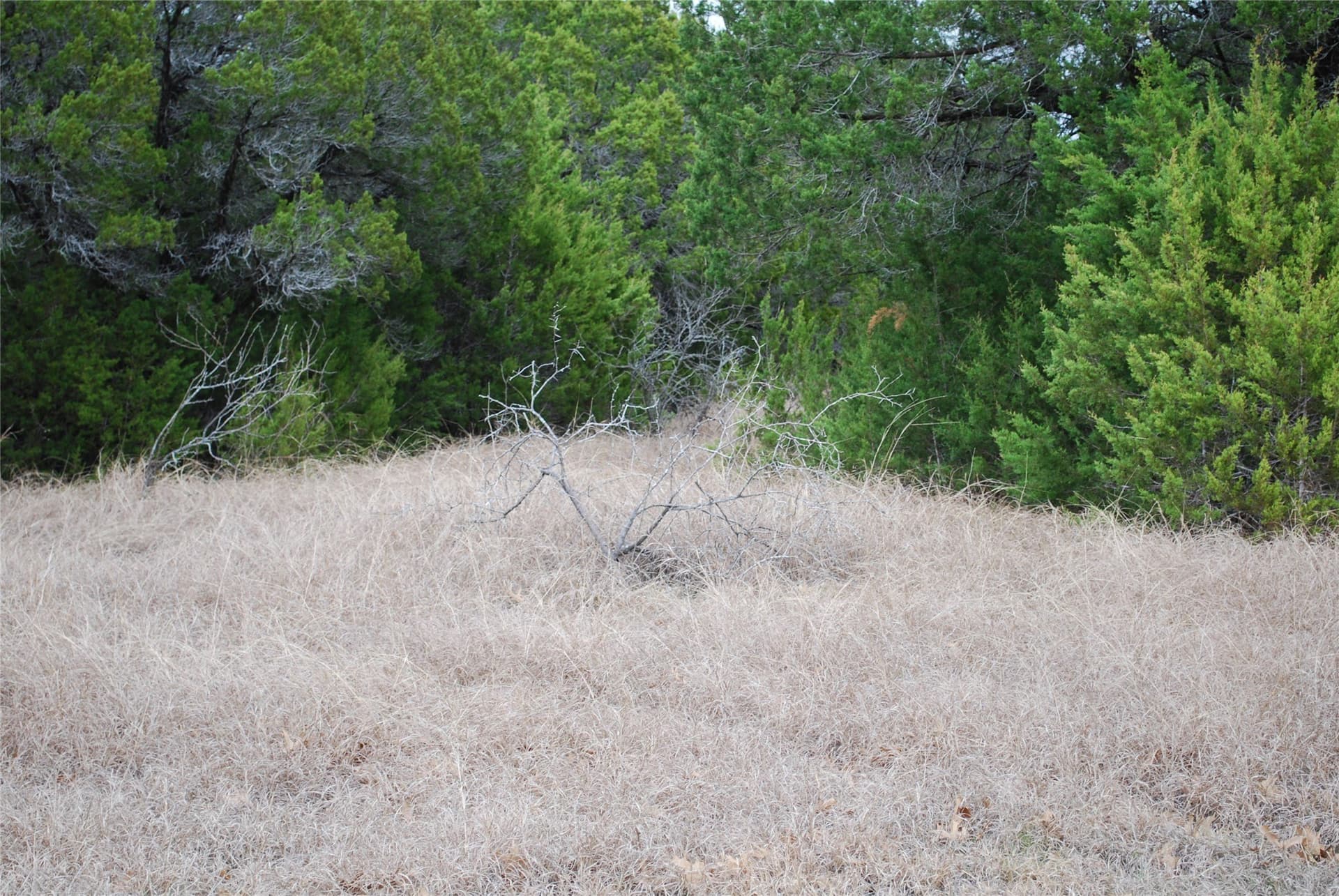 0.32 acres in Hill County - photo 6