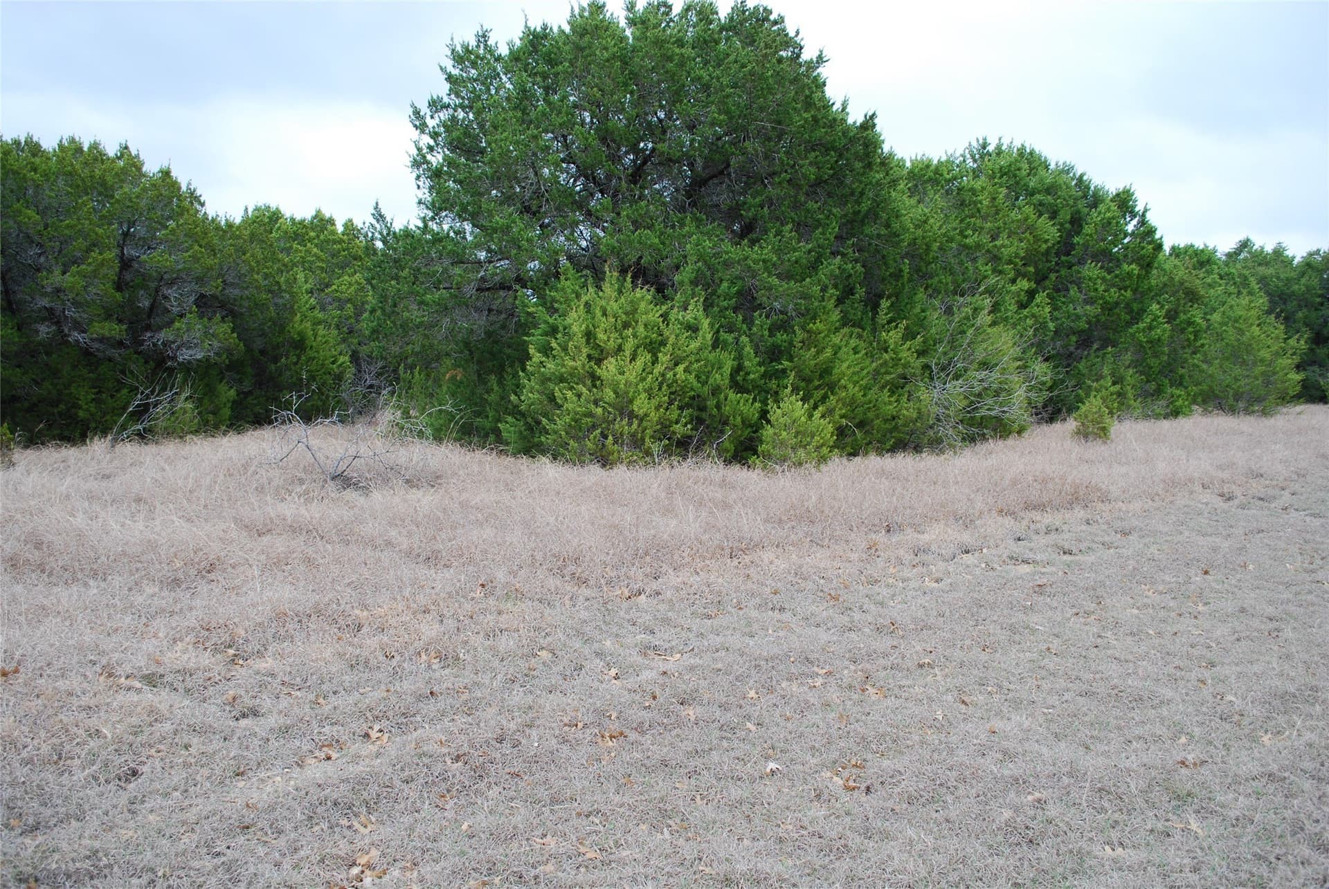 0.32 acres in Hill County - photo 7