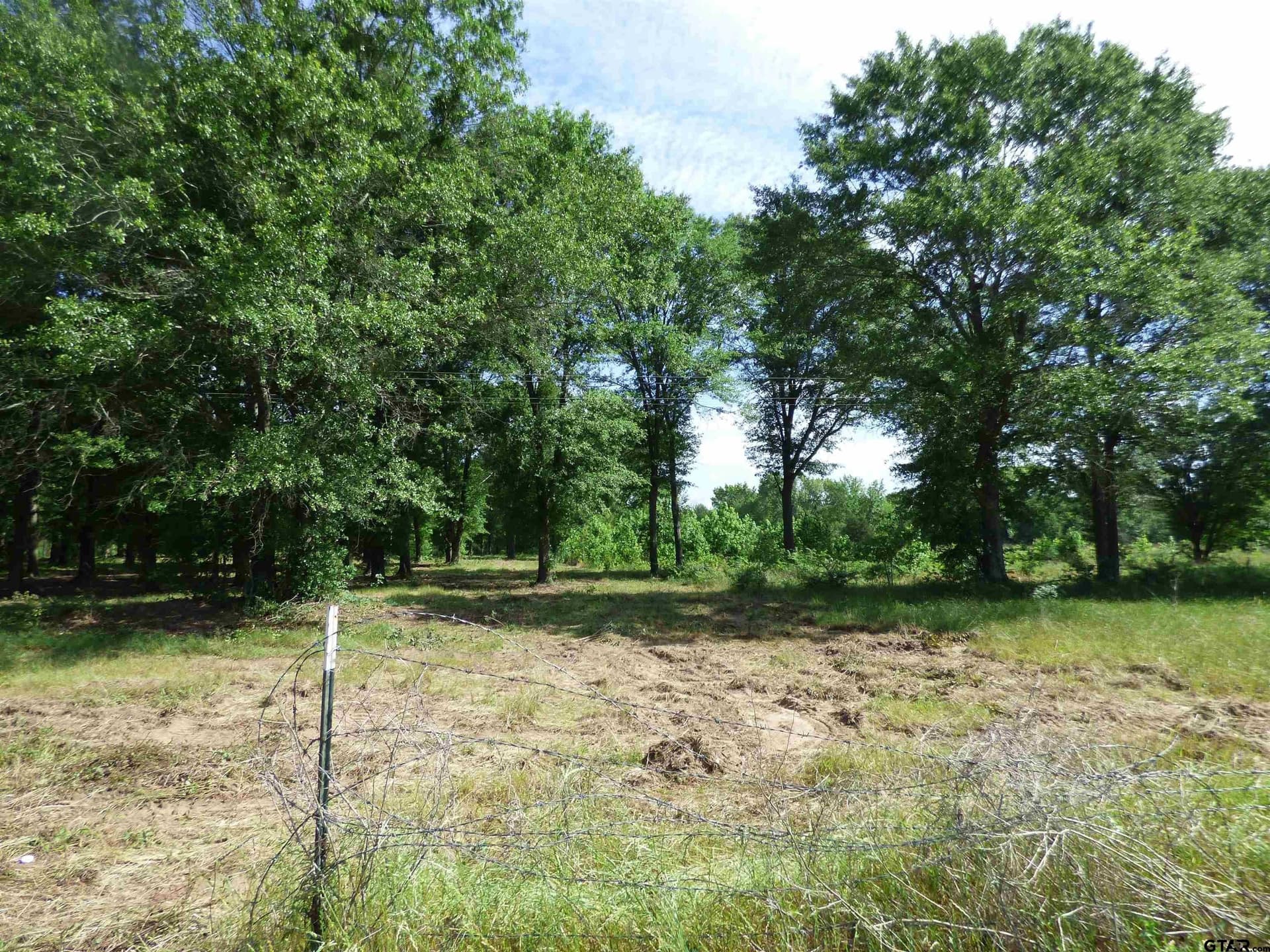 10.02 acres in Titus County