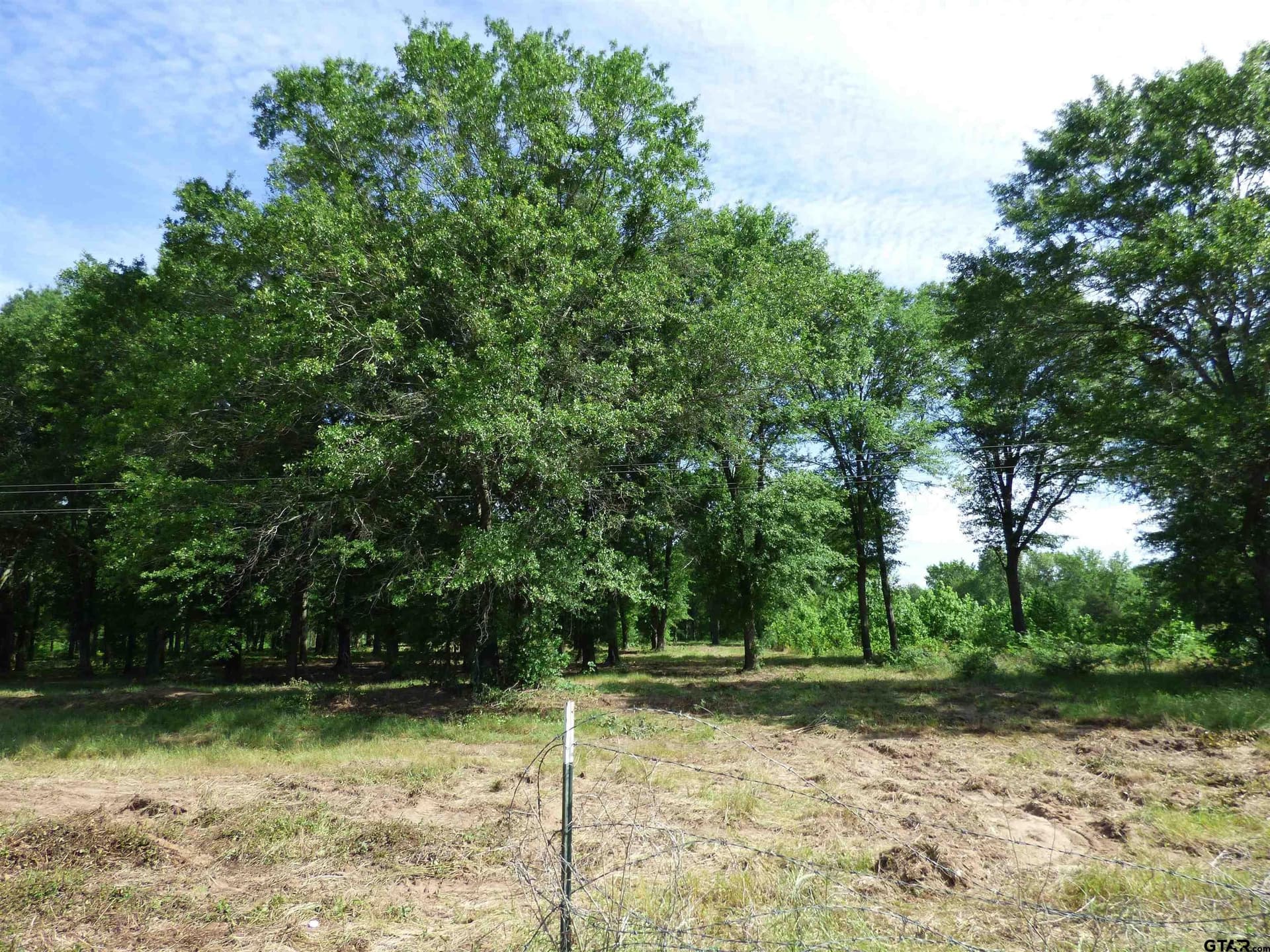 10.02 acres in Titus County - photo 6