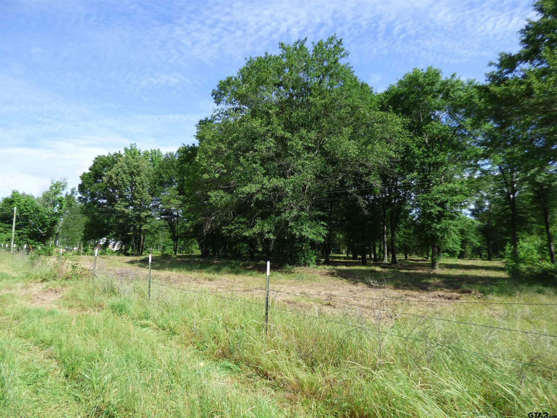 10.02 acres in Titus County - photo 3