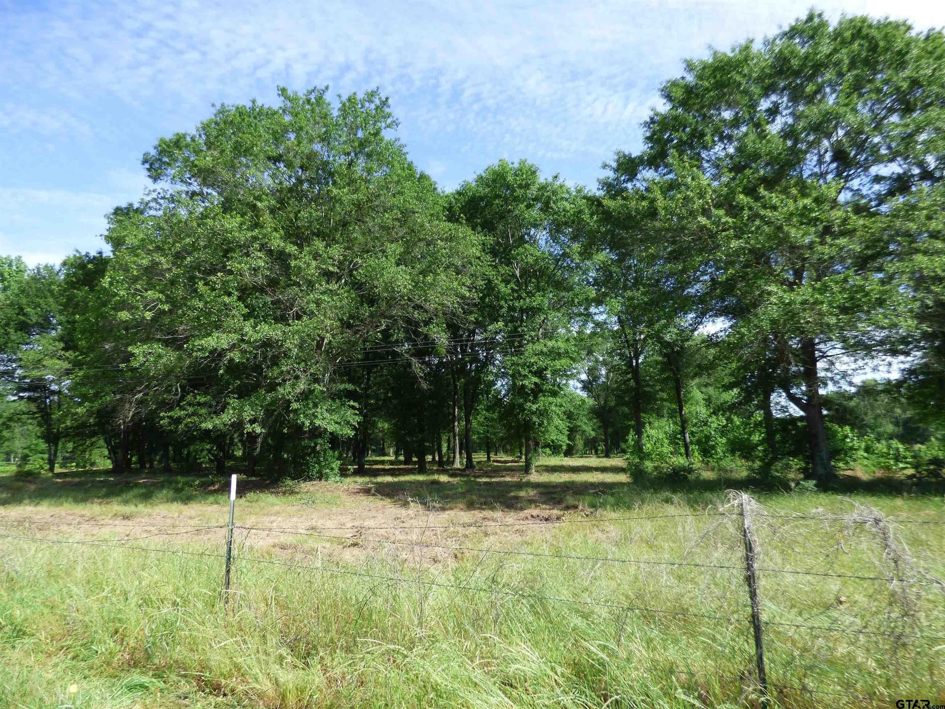 10.02 acres in Titus County - photo 2