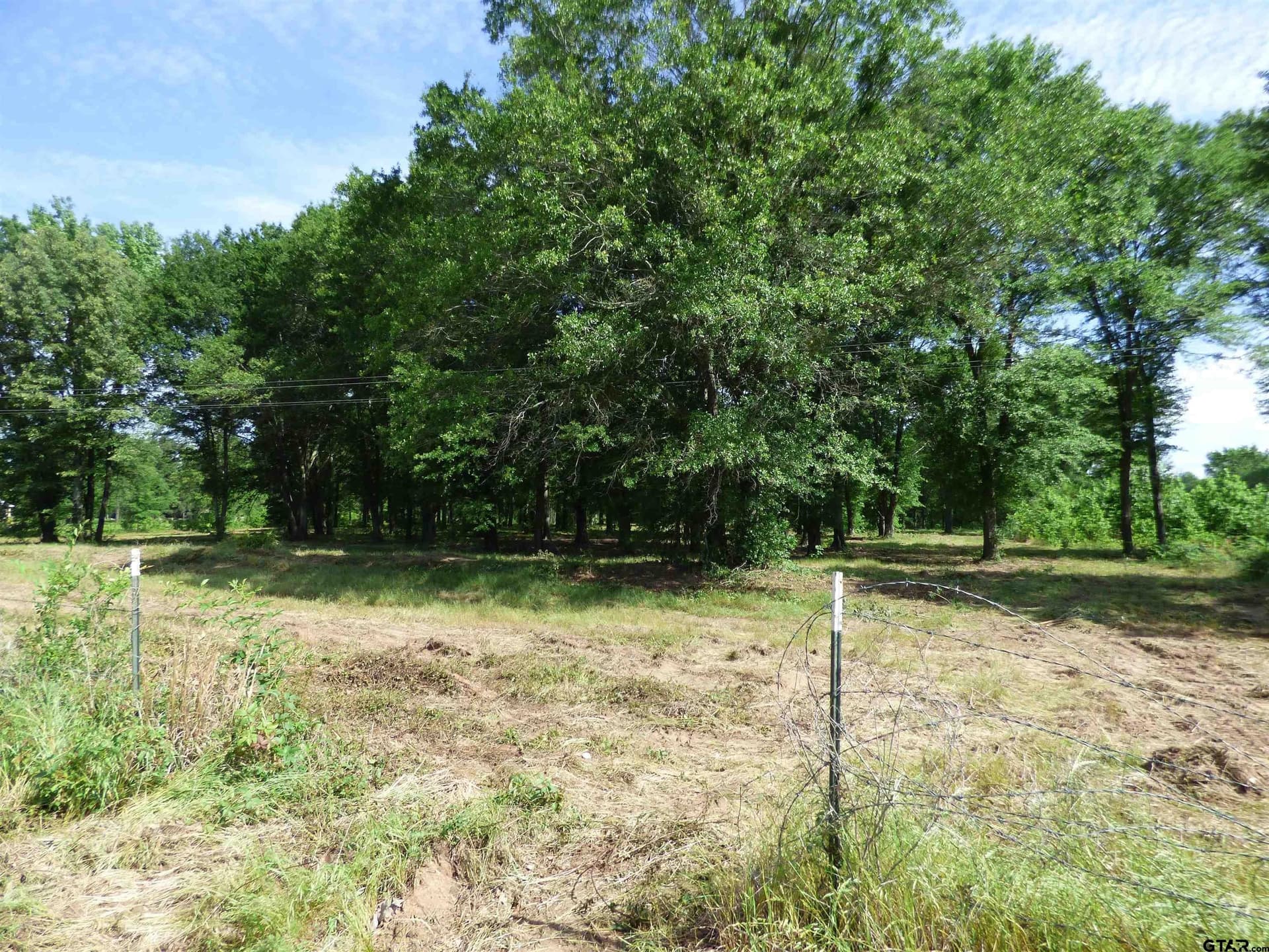 10.02 acres in Titus County - photo 4
