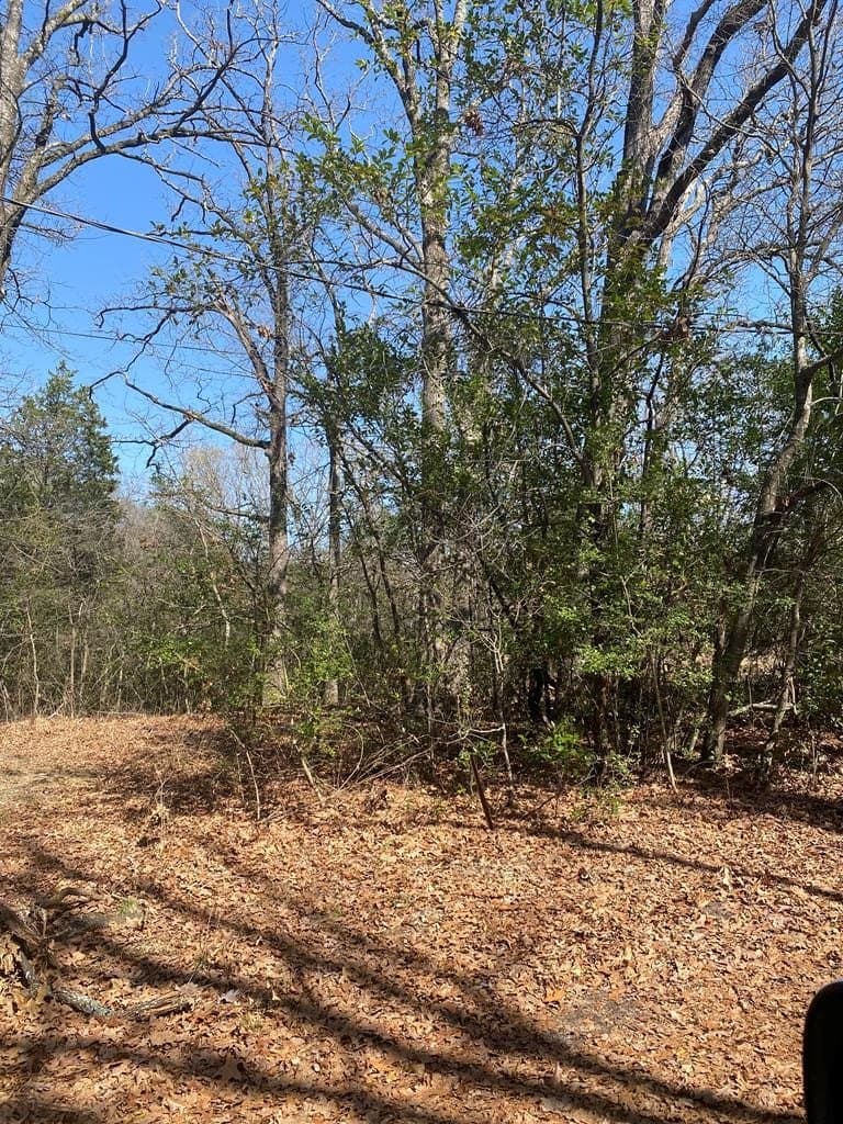 0.3 acres in Henderson County