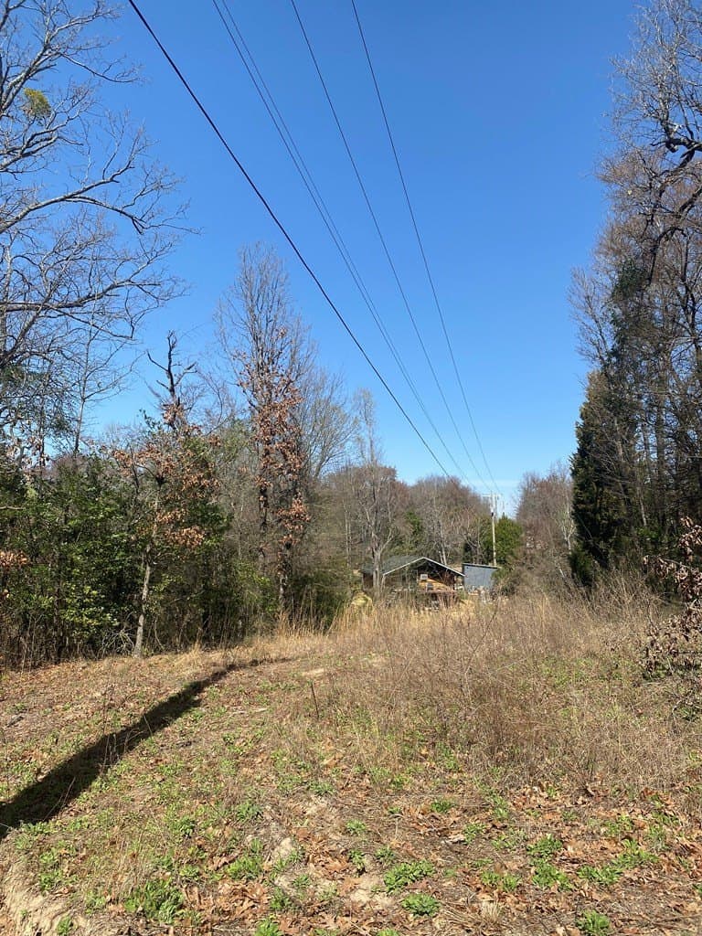 0.3 acres in Henderson County gallery image 3