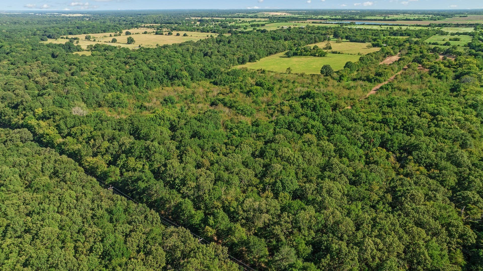 54.98 acres in Lamar County - photo 10