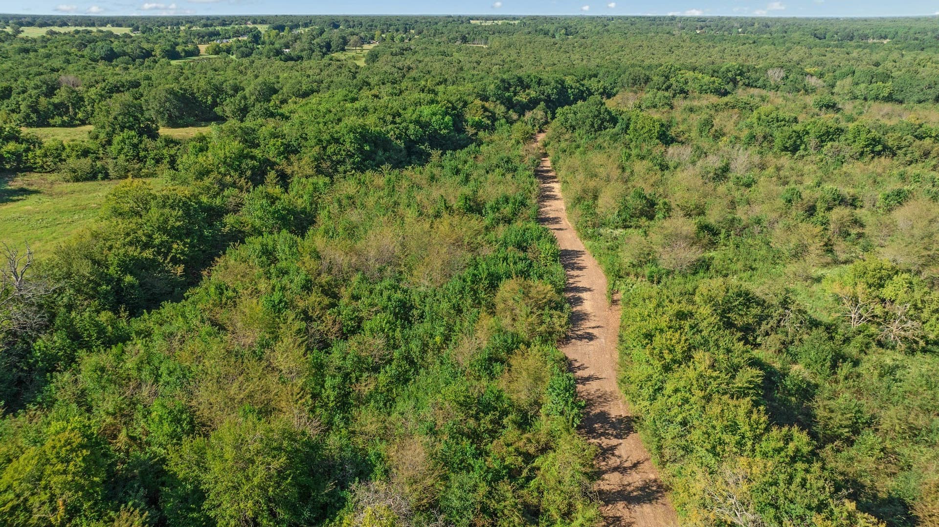 54.98 acres in Lamar County - photo 7
