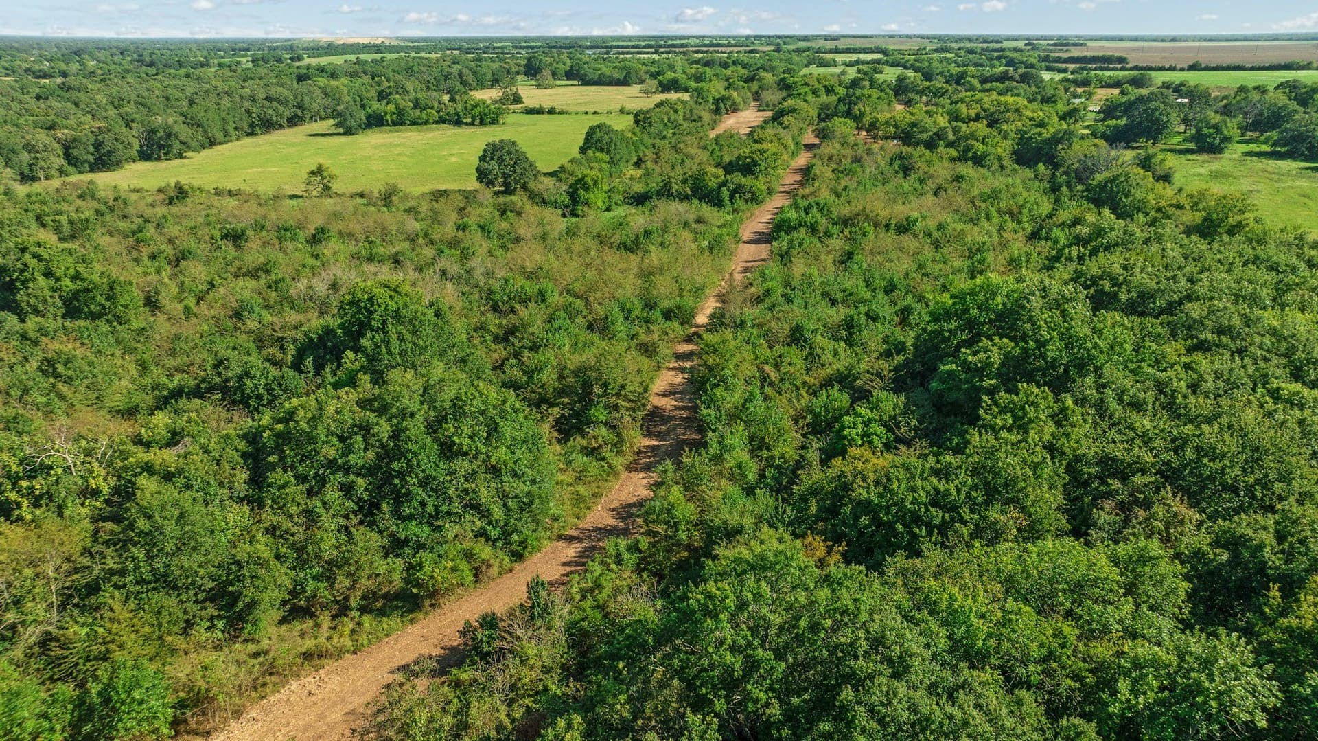 54.98 acres in Lamar County - photo 11