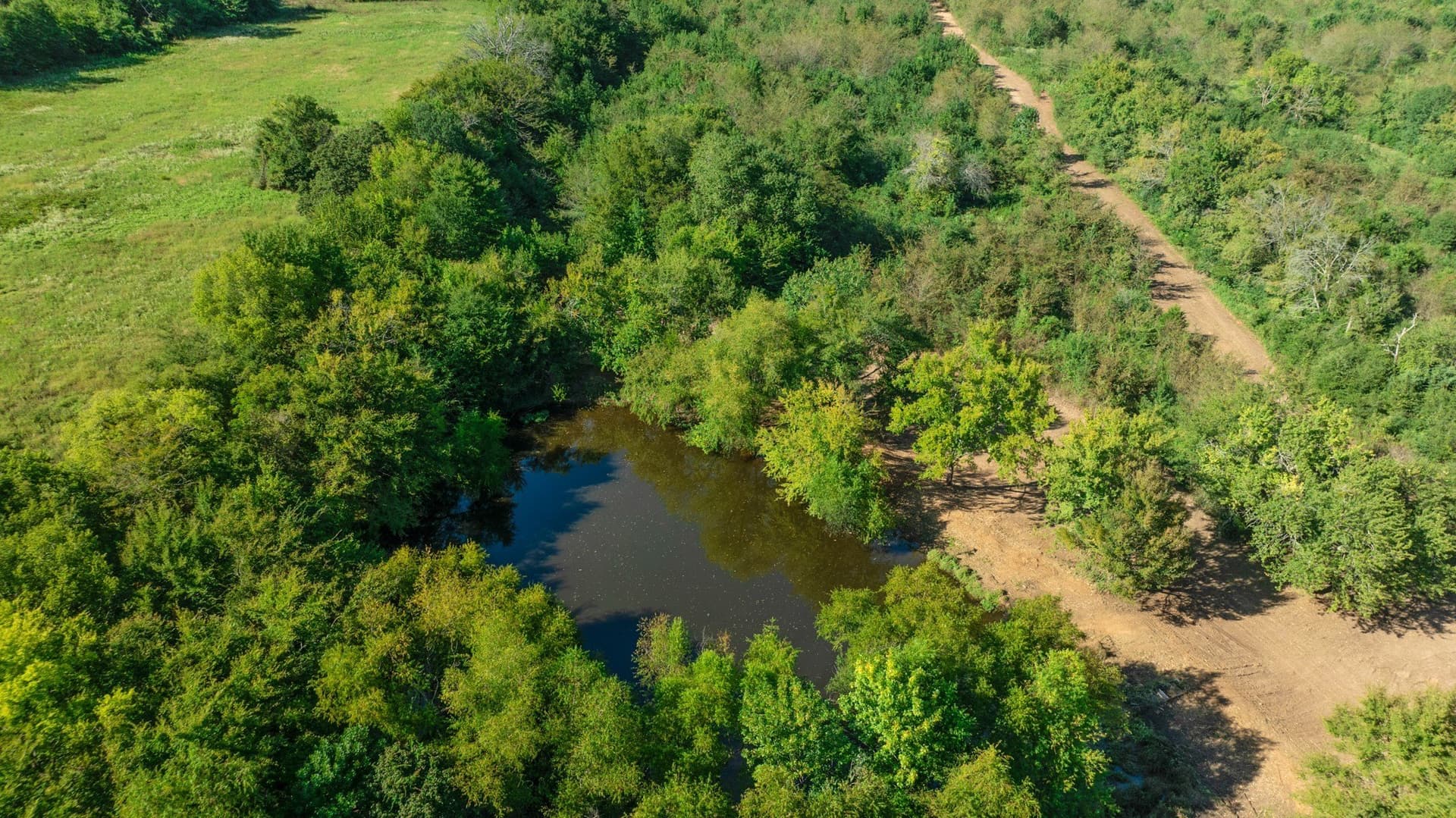 54.98 acres in Lamar County - photo 6