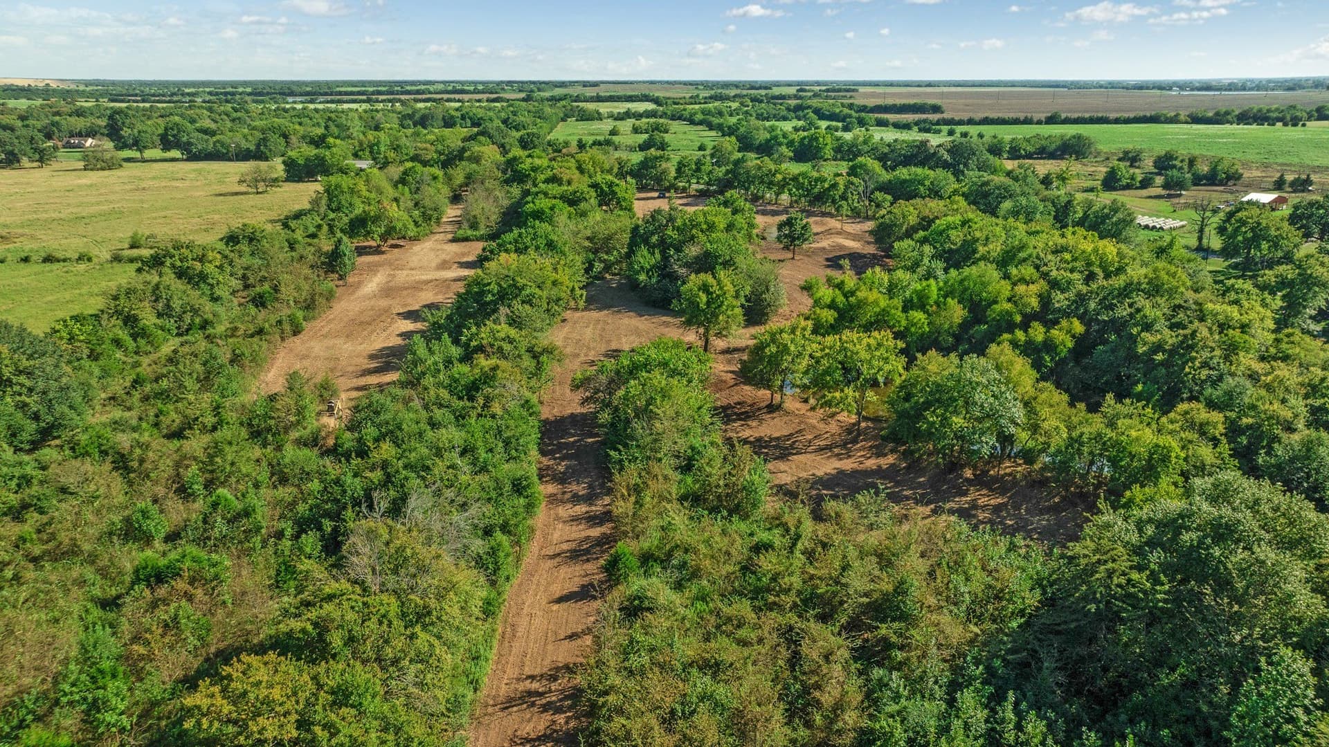 54.98 acres in Lamar County - photo 12