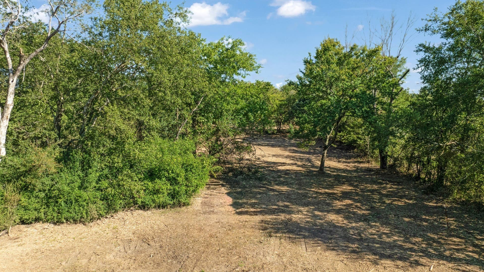 54.98 acres in Lamar County - photo 4
