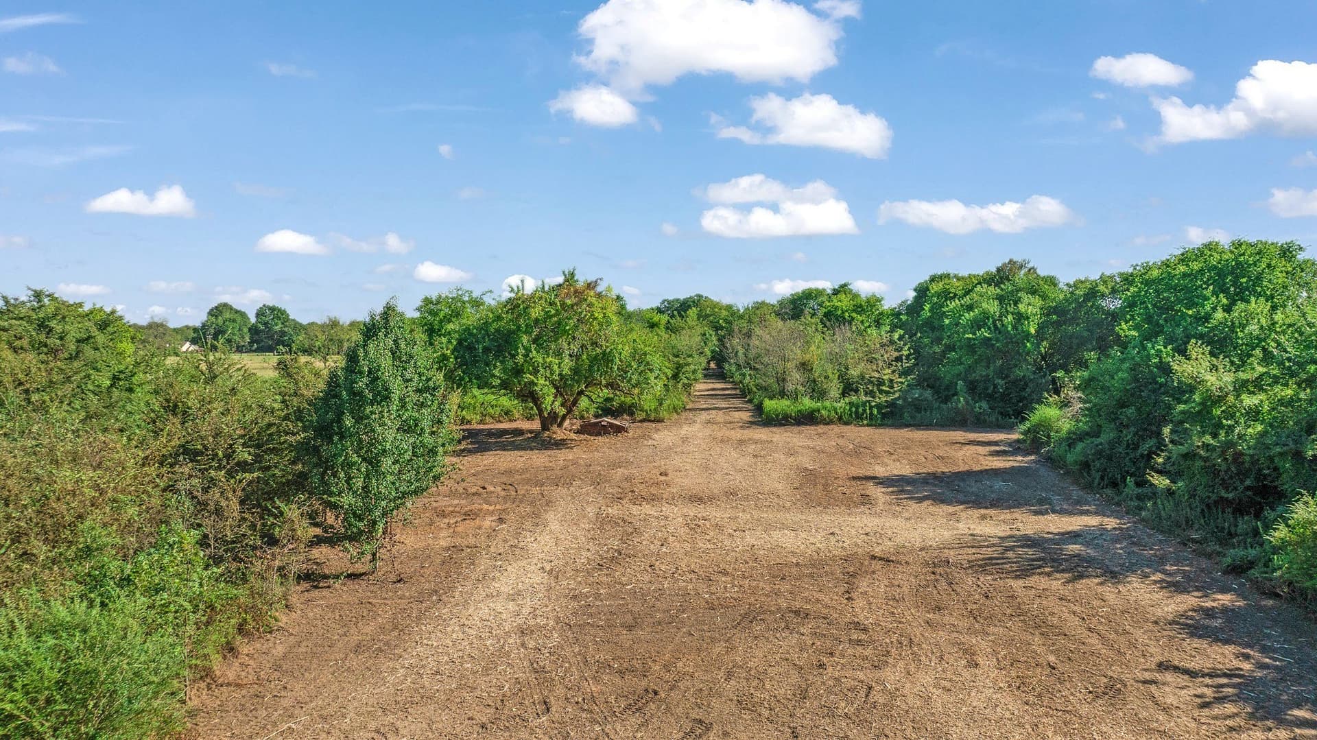 54.98 acres in Lamar County - photo 13