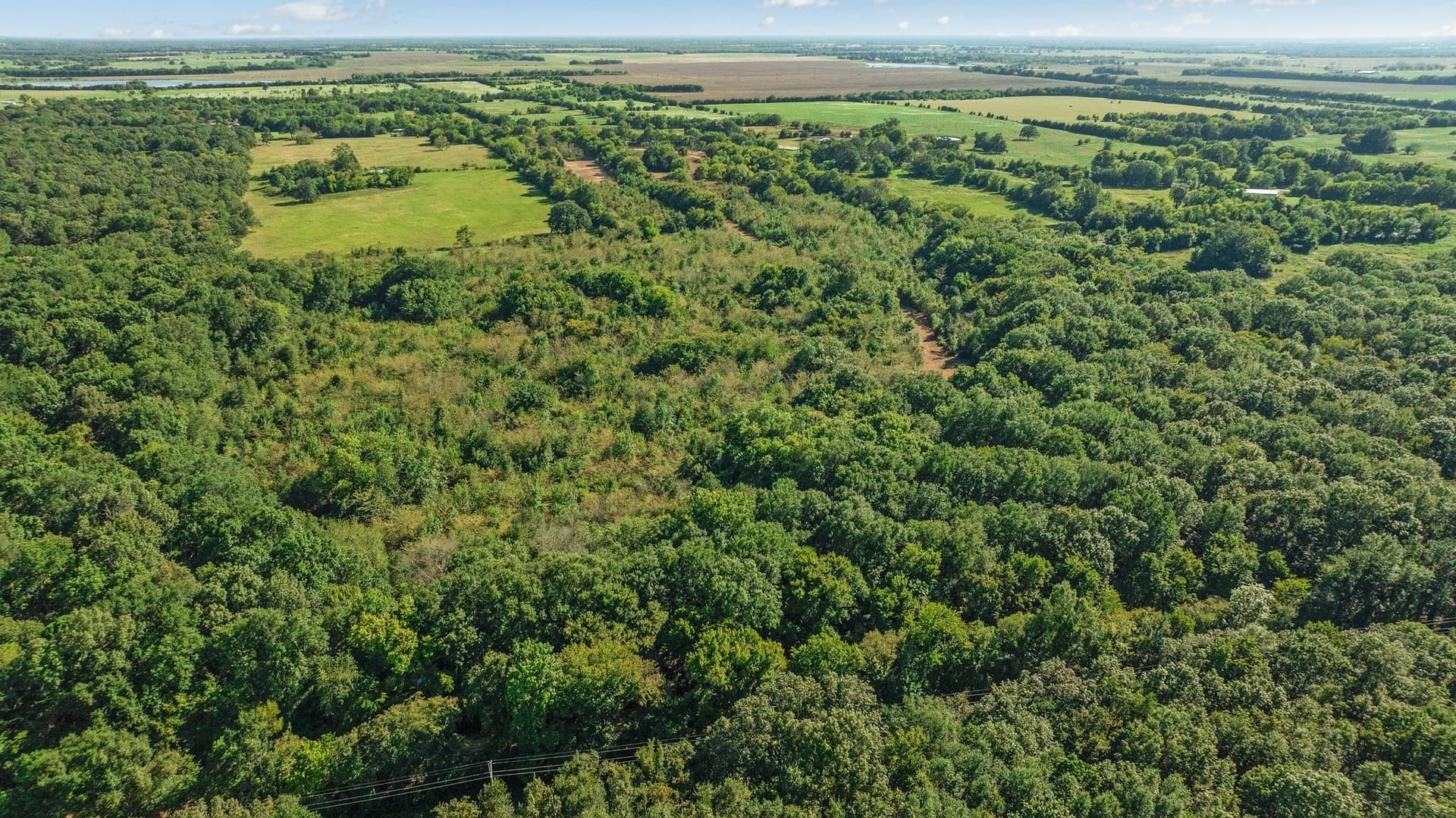 54.98 acres in Lamar County - photo 8