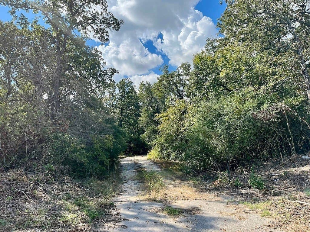 2.9 acres in Limestone County gallery image 2