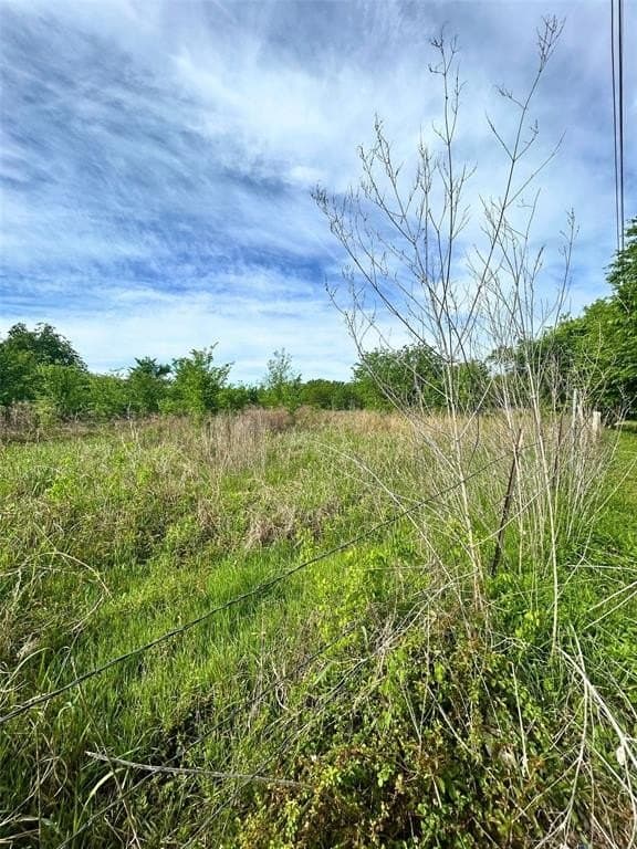 10.96 acres in Rains County gallery image 2