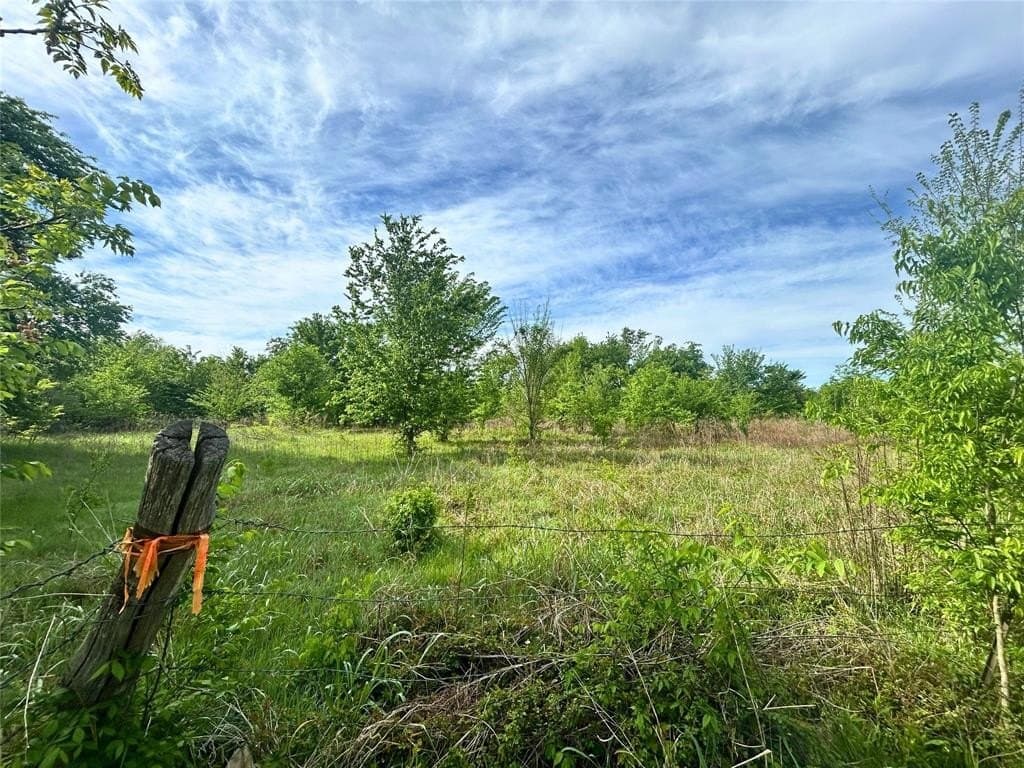 10.96 acres in Rains County featured view