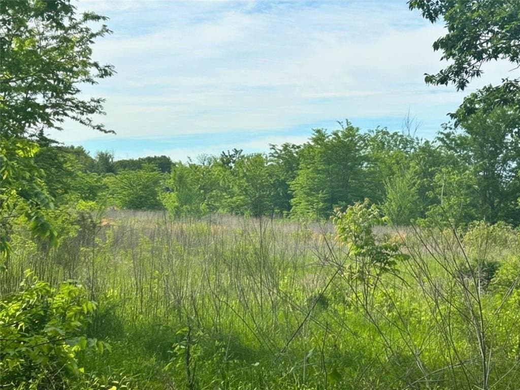 10.96 acres in Rains County