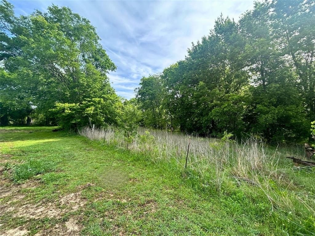 10.96 acres in Rains County gallery image 3