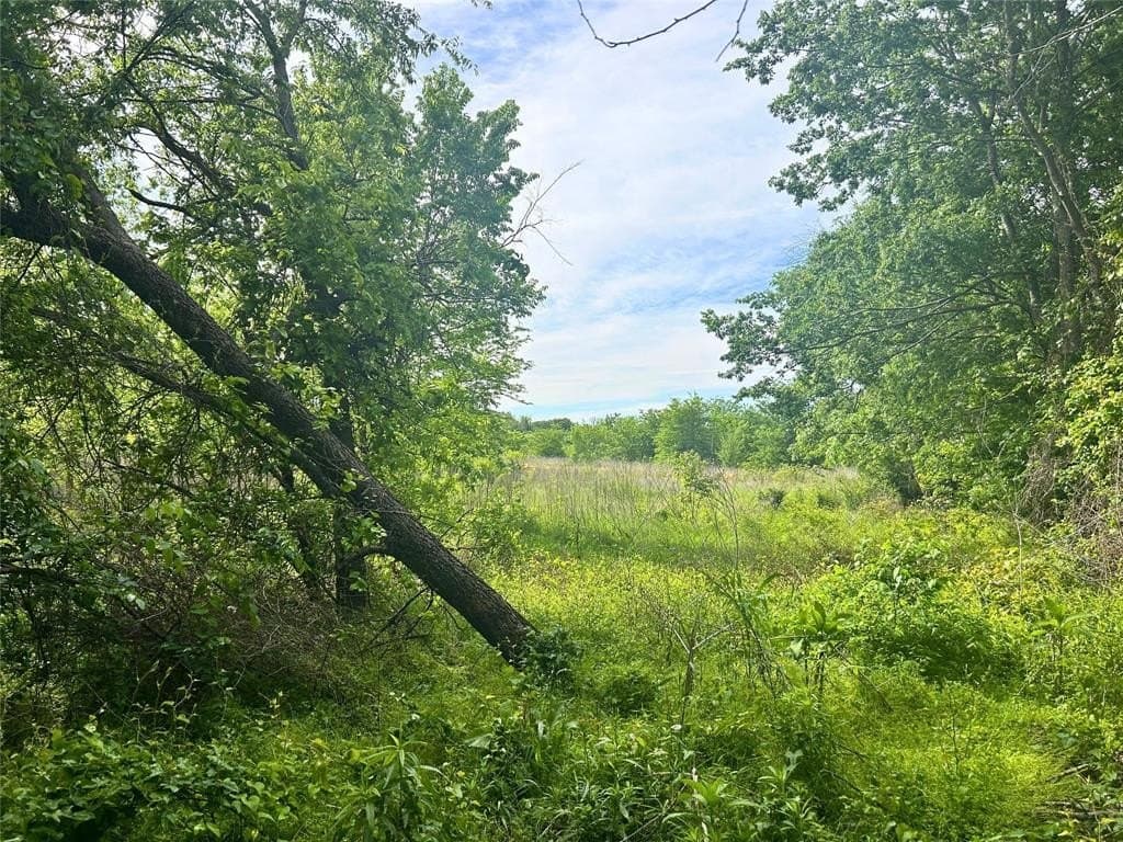 10.96 acres in Rains County gallery image 4