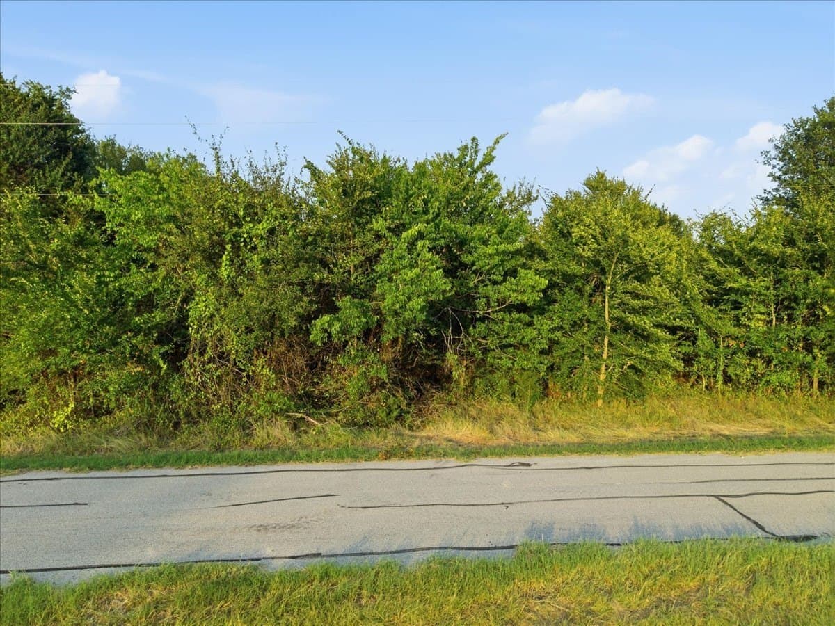 0.21 acres in Henderson County - photo 6