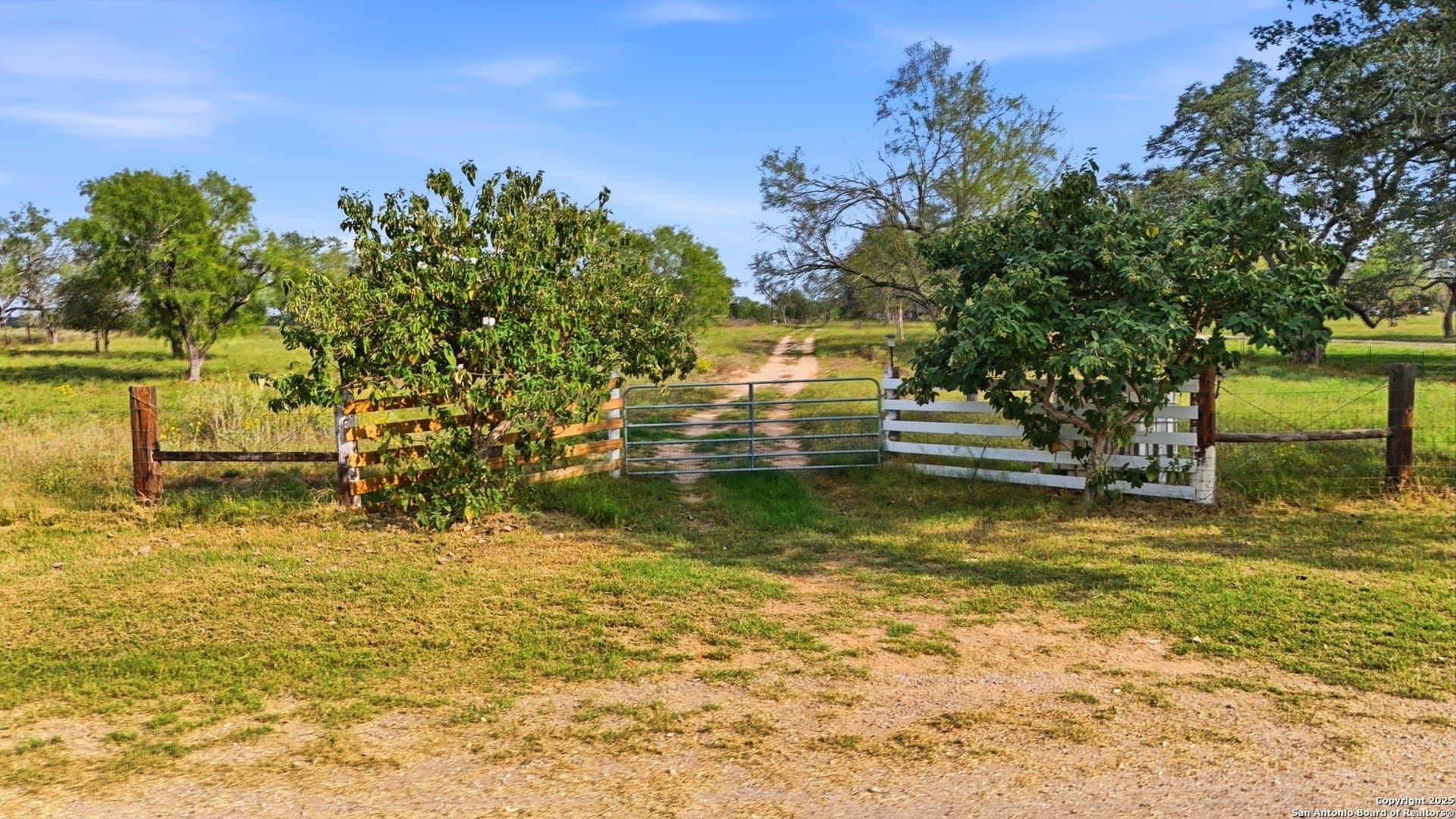 10.33 acres in Frio County gallery image 3
