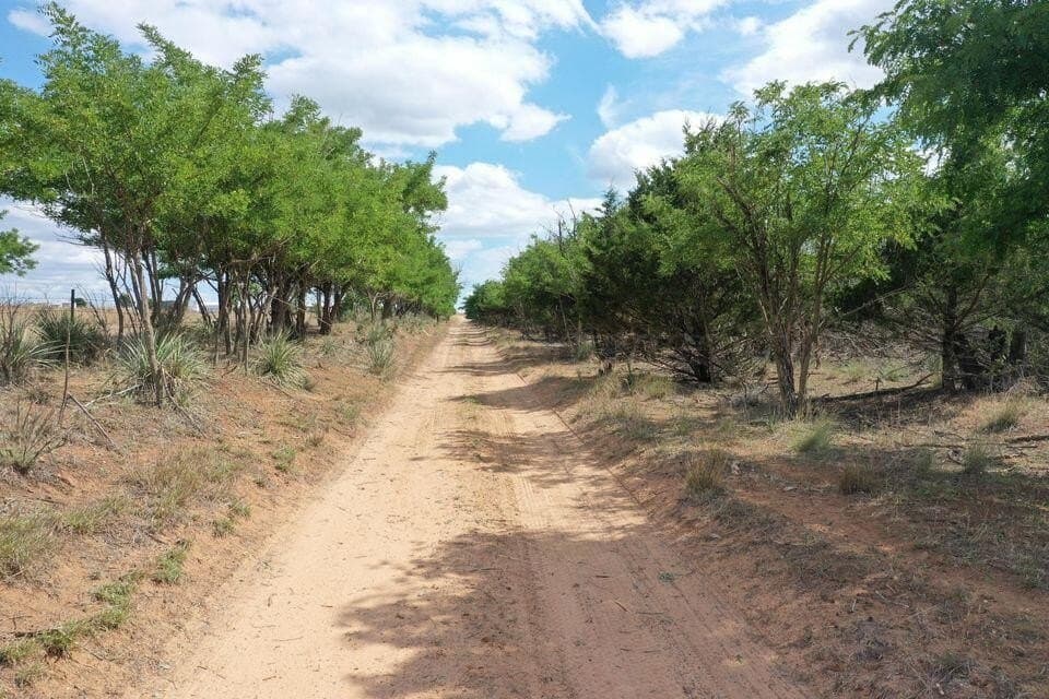 566 acres in Wheeler County gallery image 4