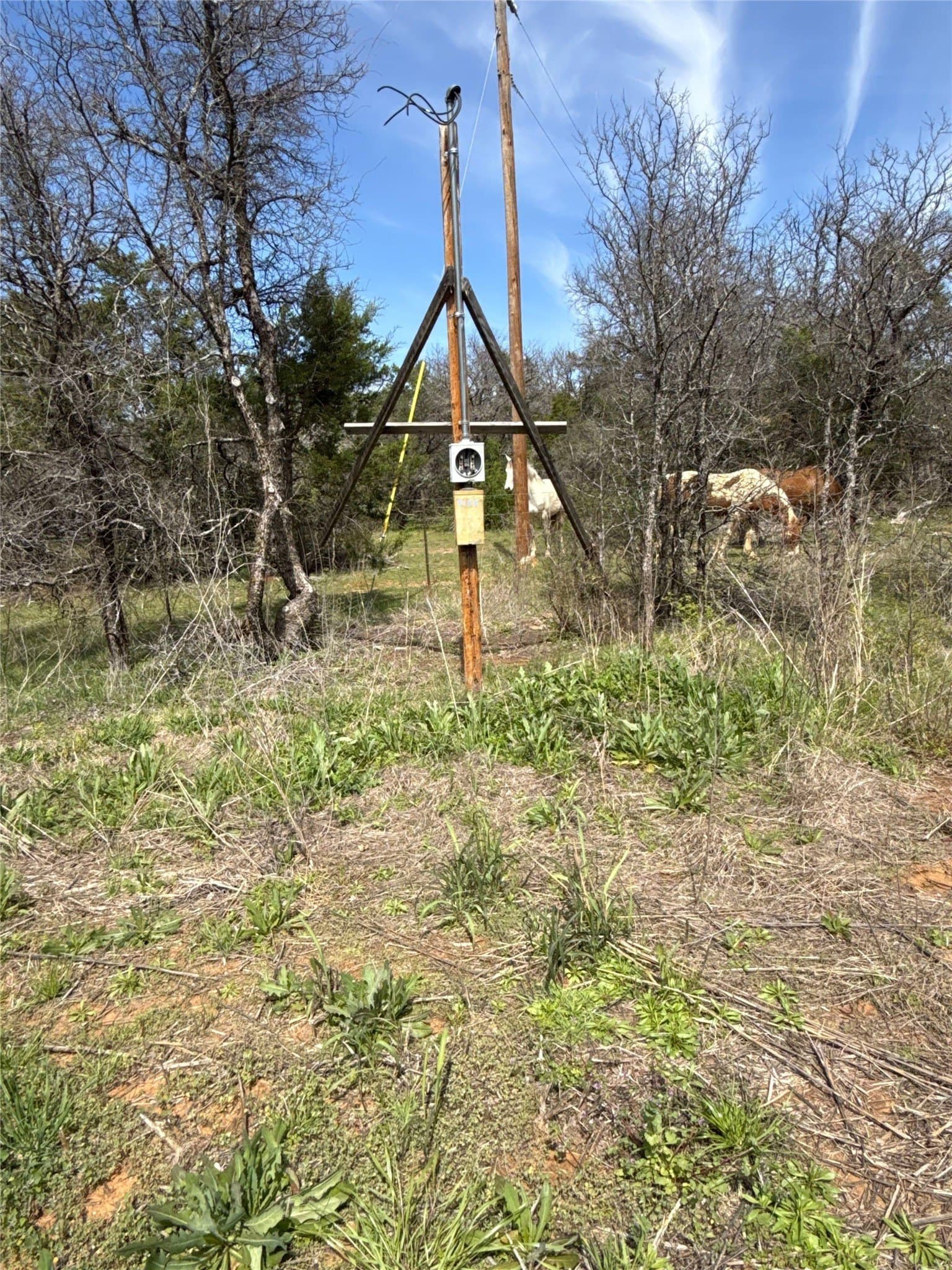 5.92 acres in Palo Pinto County featured view