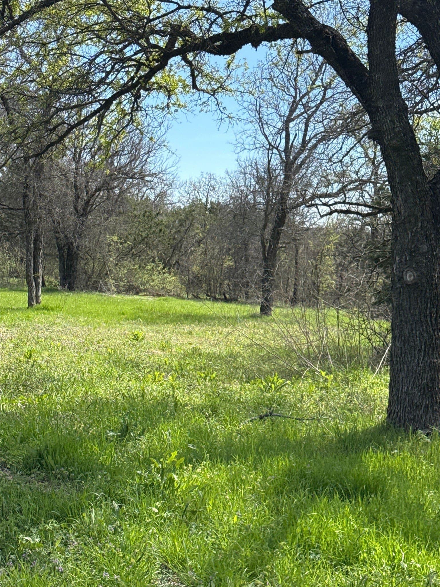 5.92 acres in Palo Pinto County gallery image 3