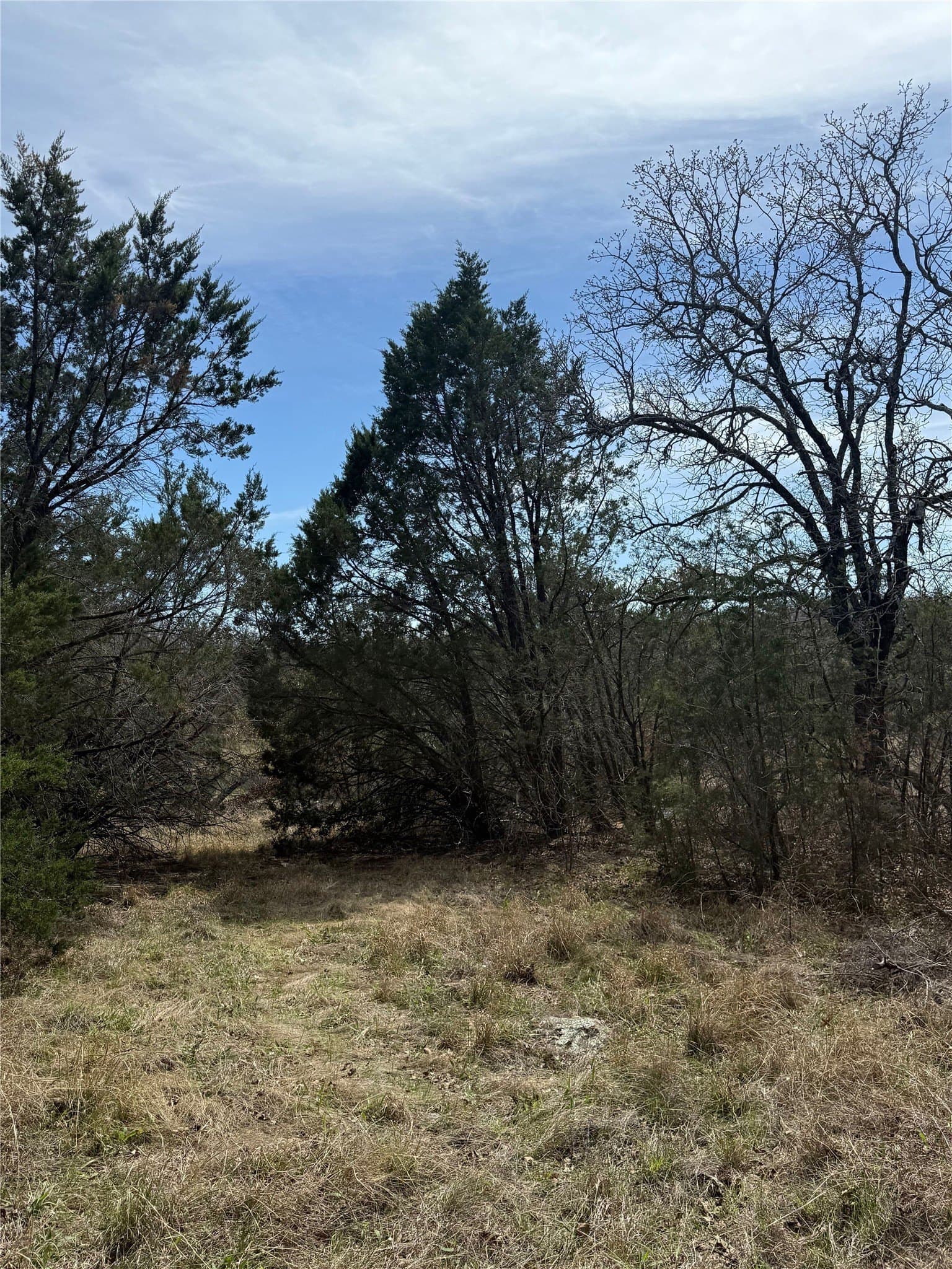 5.92 acres in Palo Pinto County gallery image 4