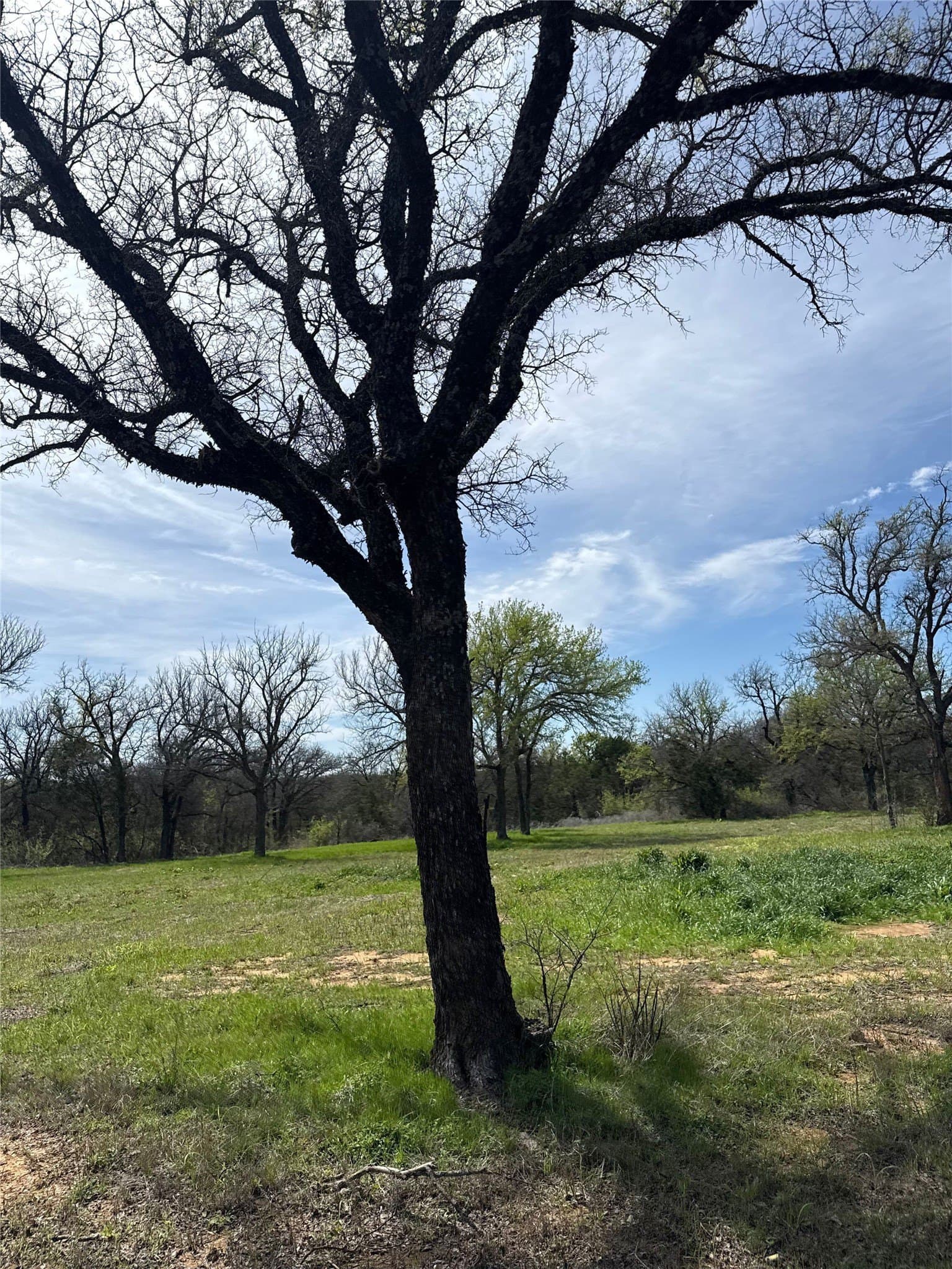 5.92 acres in Palo Pinto County gallery image 2