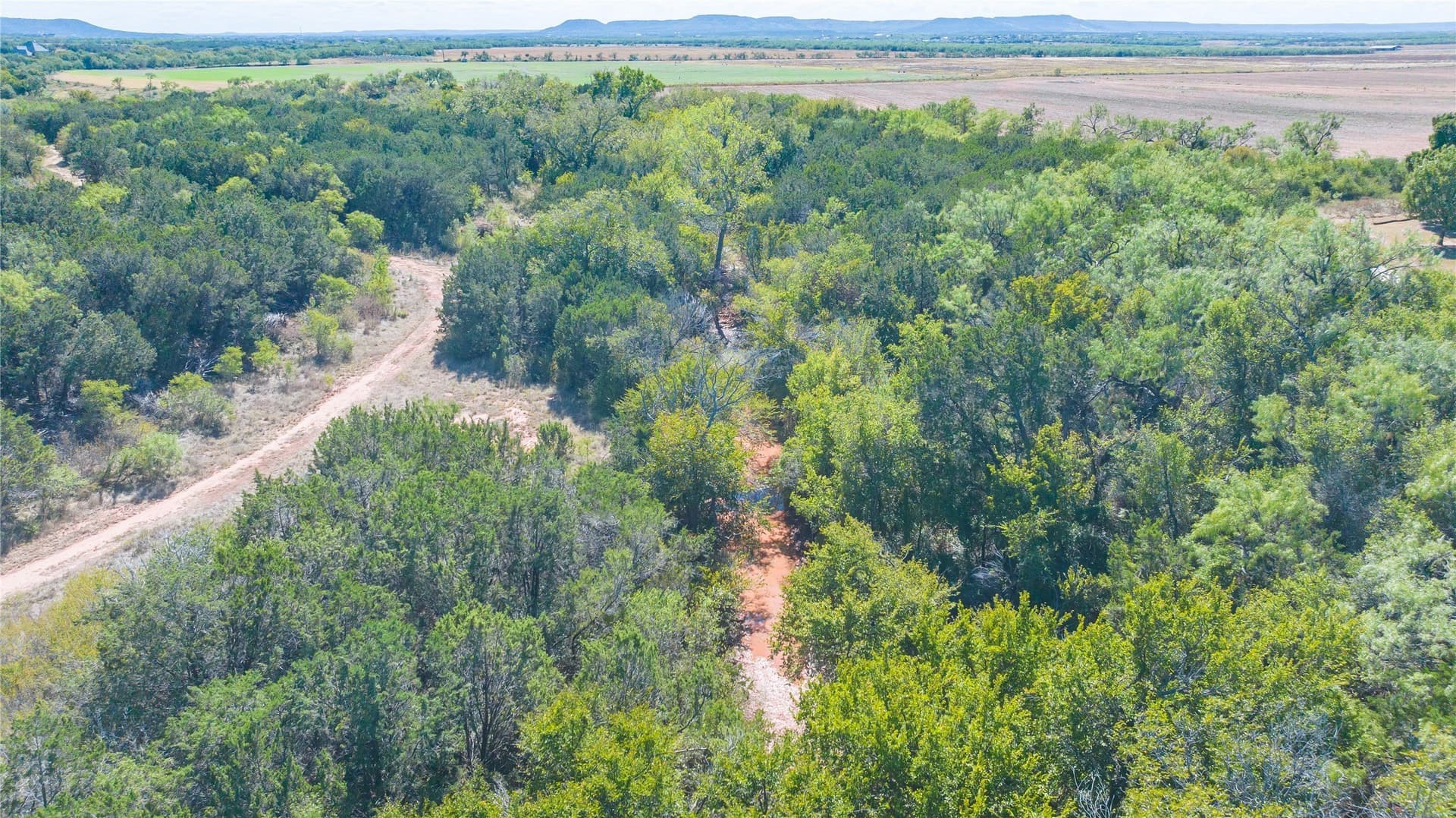 19.28 acres in Taylor County - photo 38