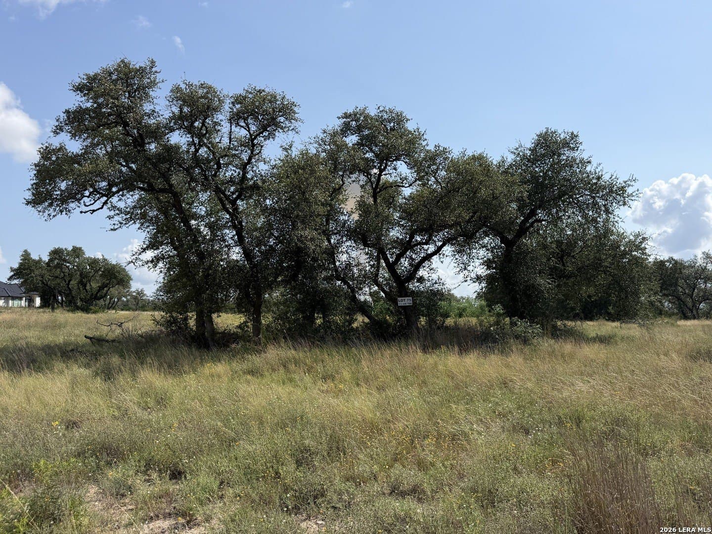 1.41 acres in Comal County - photo 7