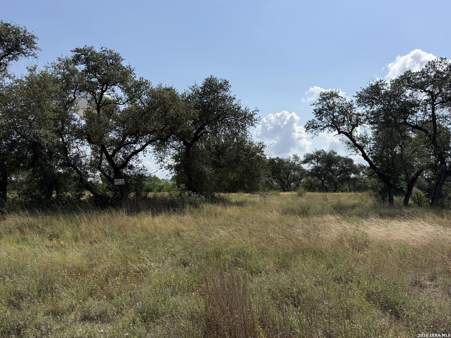 1.41 acres in Comal County - photo 24
