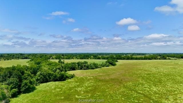 113.6 acres in Robertson County gallery image 3