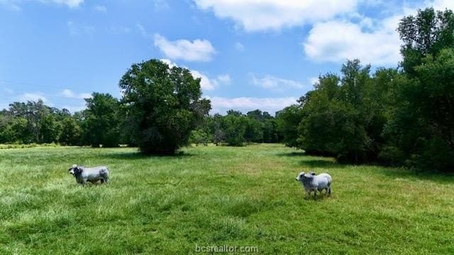 113.6 acres in Robertson County featured view