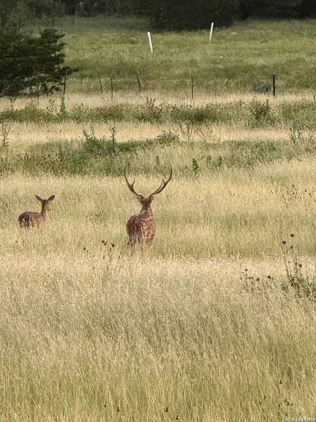 16.34 acres in Kendall County - photo 6