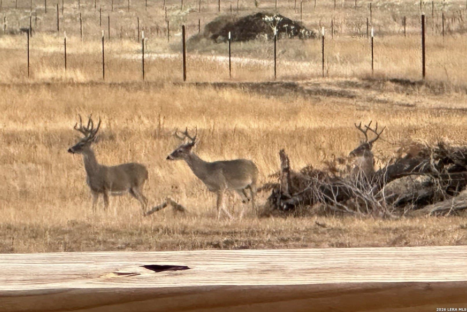 16.34 acres in Kendall County - photo 5