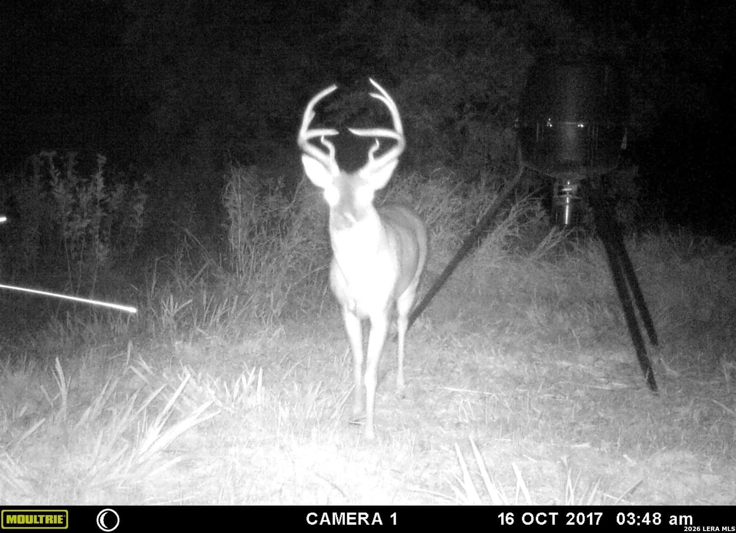16.34 acres in Kendall County - photo 4