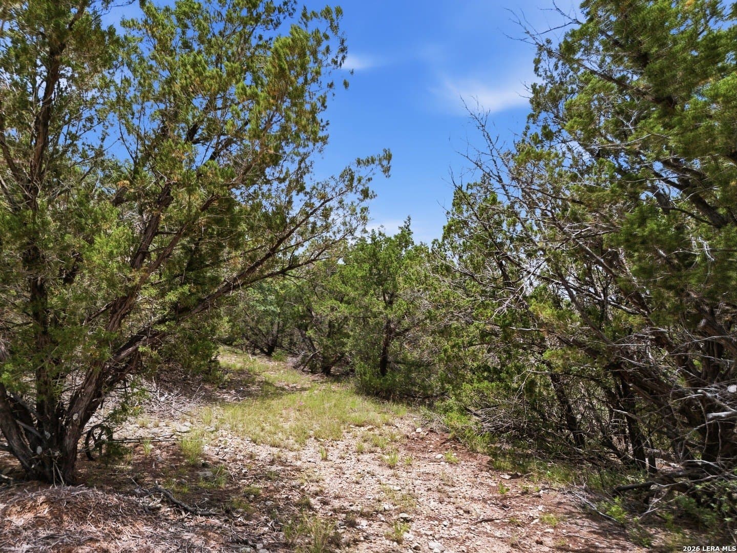 28.62 acres in Real County - photo 12