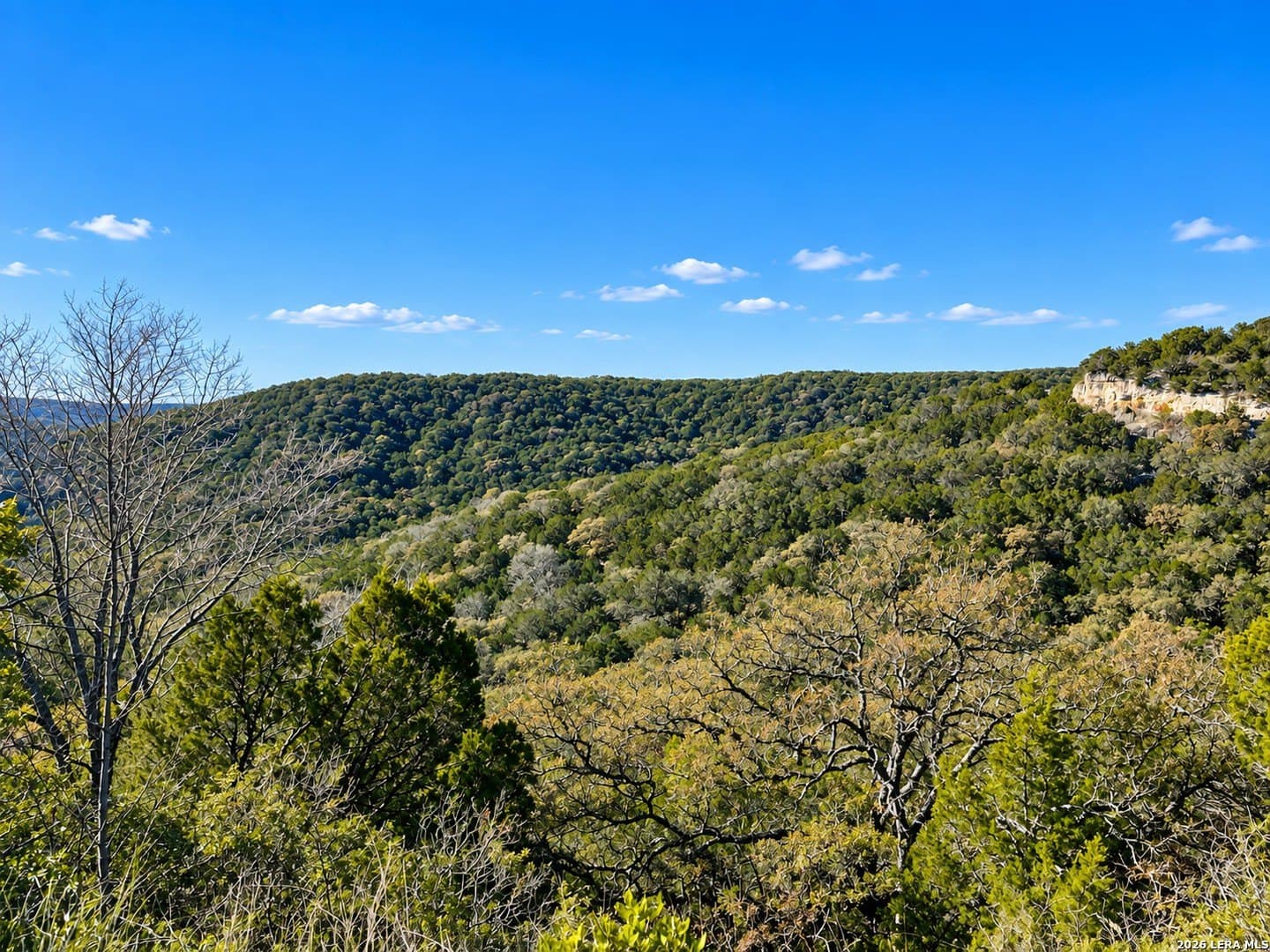 28.62 acres in Real County - photo 6
