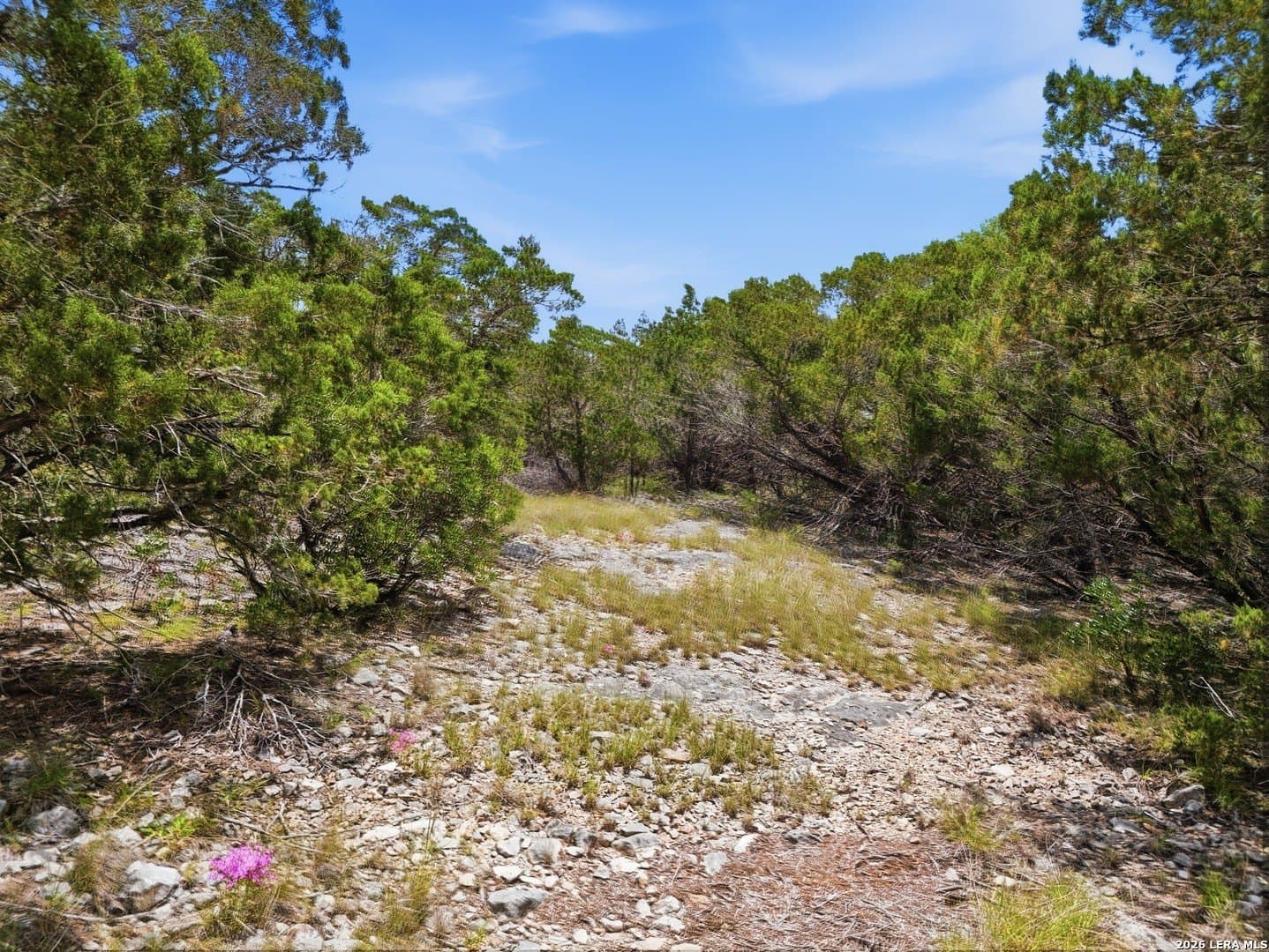 28.62 acres in Real County - photo 13