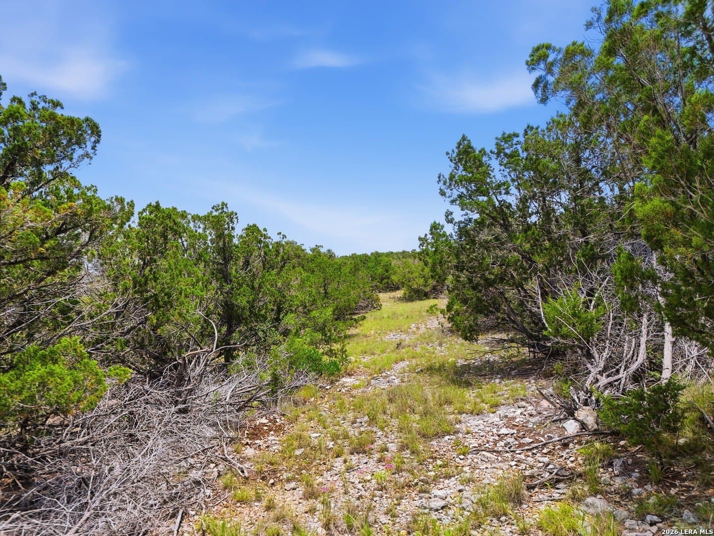 28.62 acres in Real County - photo 14