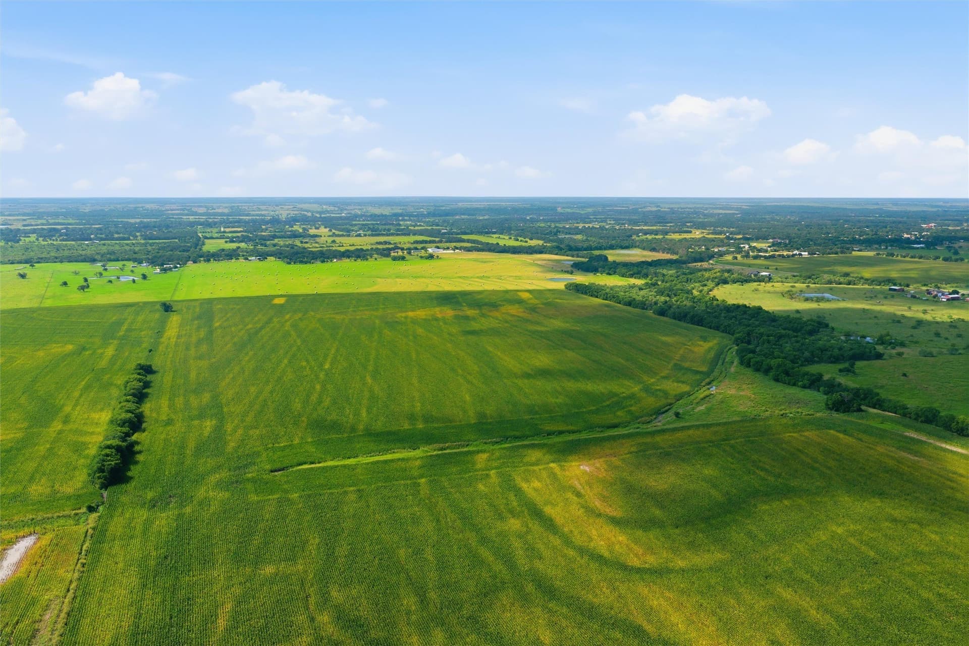 256 acres in McLennan County - photo 4