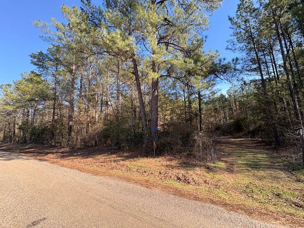 20 acres in Texas County gallery image 4